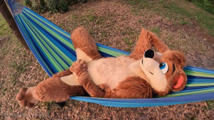 Big Pawbs [ bigpawbs ] - Good day