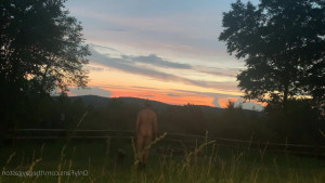 TheGayGaston - upside down